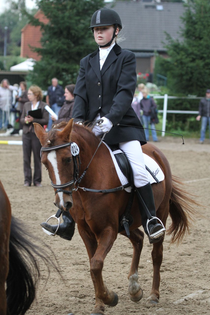 Bild 830 - WBO-Turnier am 18.9.11